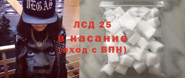 шишки Верея