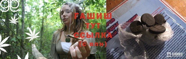 дмт Богородицк