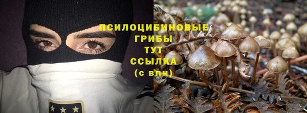 дмт Богородицк