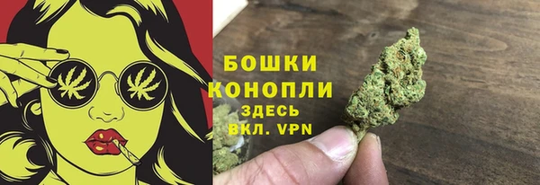 дмт Богородицк